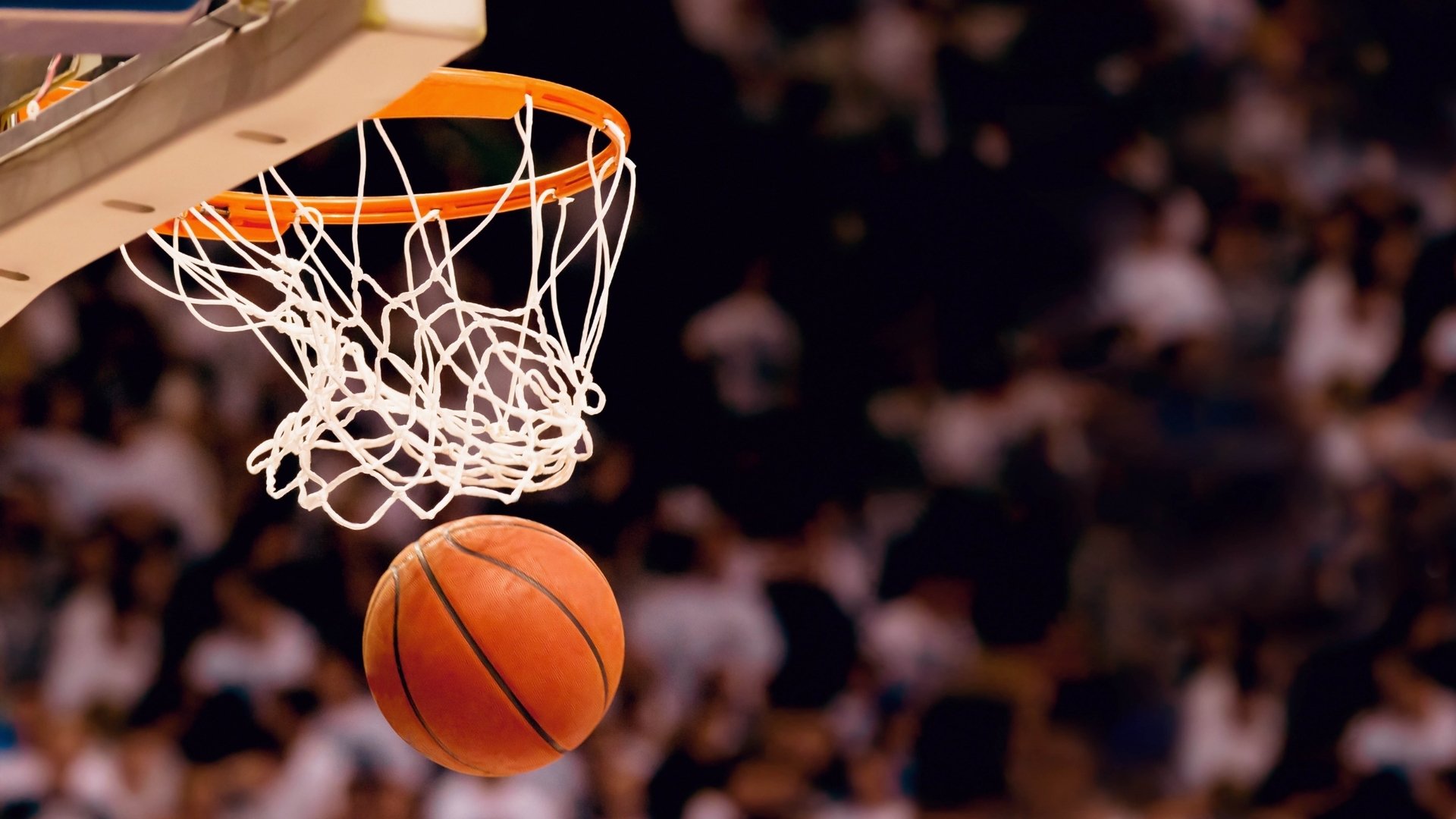 开云官网-马竞连续五场破门势不可挡，哈兰德主帅直言，这小子挡不住！势不可挡！马竞五场连破门，哈兰德主帅盛赞，这小子挡不住